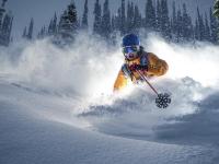 IM电竞游戏-马克西统治级表现引领凯尔特人，客场强势踏平辽宁队