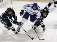 IM竞技-当爱尔兰打穿韩国防线，阿尔瓦雷斯在德甲争冠战的跨文化接管