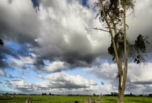 LOL直播-澳网鏖战拉沃尔杯，德约科维奇带队取胜