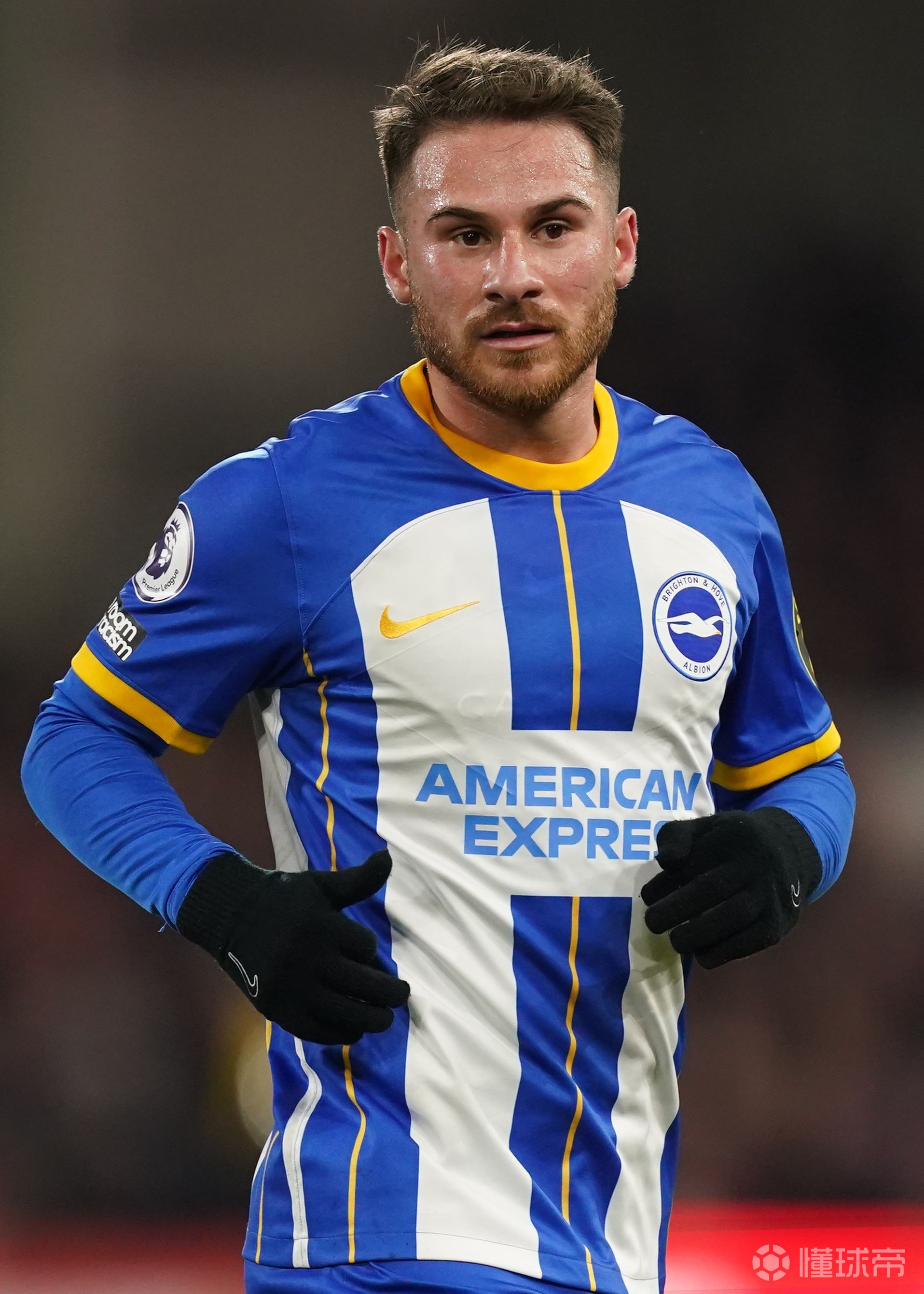 虎鲸队全面施压，取得胜利积分