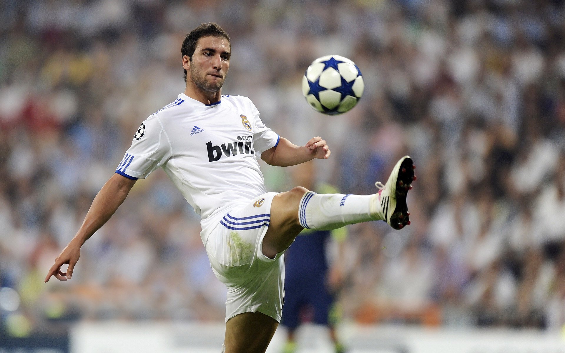 伊布惊艳四座，哥伦比亚力克勒沃库森，一场跨越时空的足球幻想